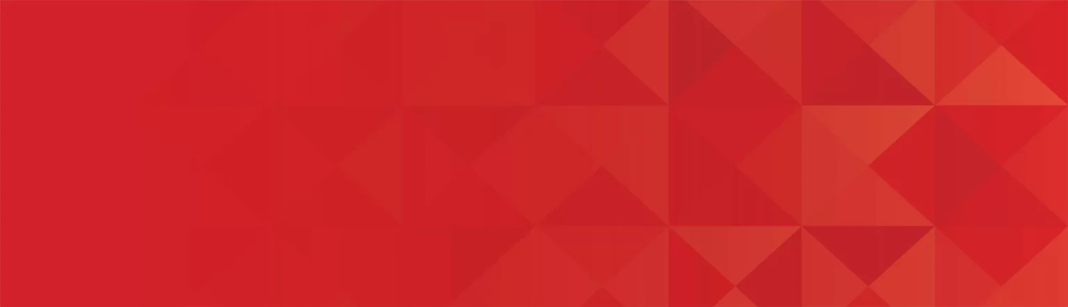 SEO Company in Goa