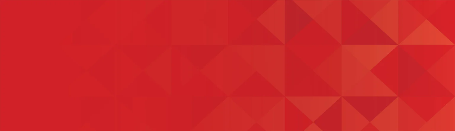 SMS Marketing Company in Romania